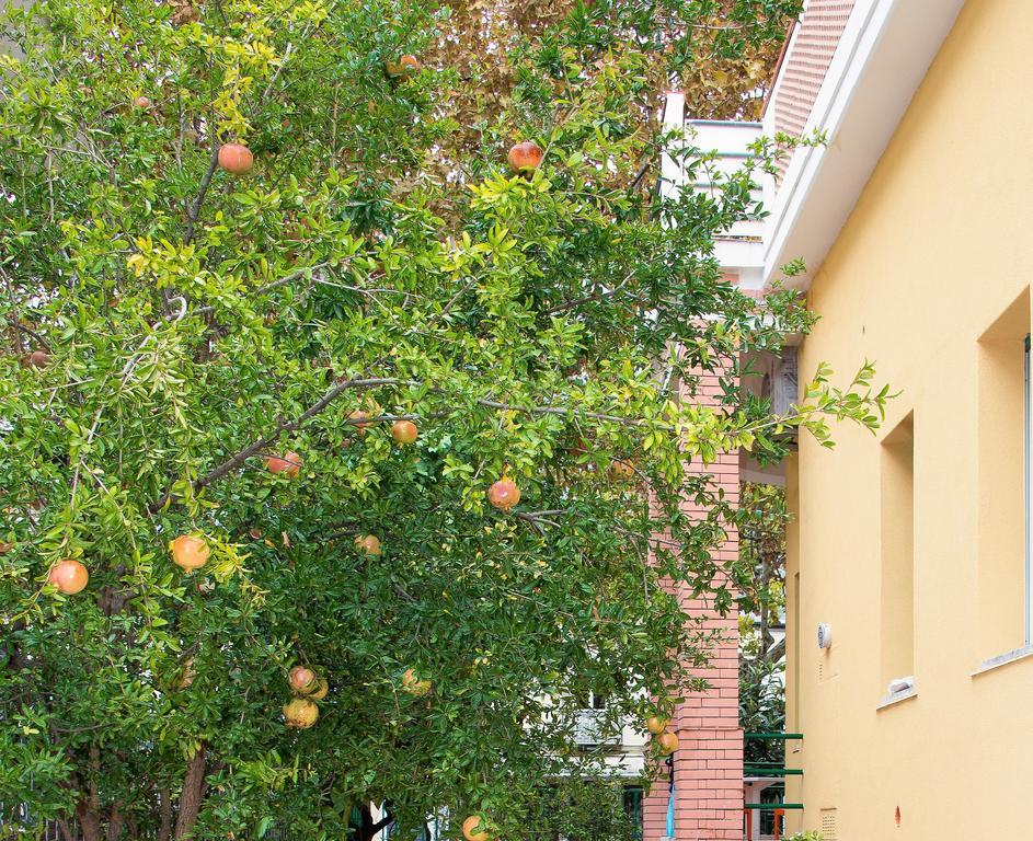 Villa Anna B&B Praia a Mare Εξωτερικό φωτογραφία